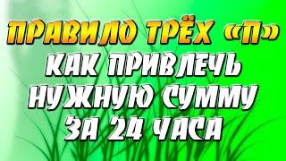 "Правило трех П" или как привлечь нужную сумму за 24 часа с помощью практики Эрика Хо