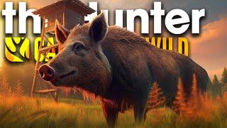 Ist das der BESTE HOCHSITZ im Spiel?!  | theHunter Call of the Wild