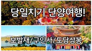 가을에 가장 가고싶은 여행지#단양팔경  #보발재 #구인사#도담삼봉#카페산