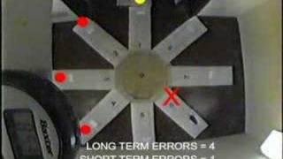 Learning and Memory: Radial arm maze Part 2