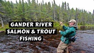 Fishing the Famous Gander River for Trout & Salmon