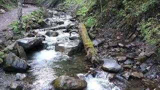 River in Carpathian Mountains