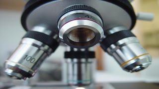 25 Things Everyone Should Know About Science
