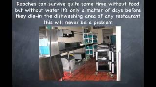 Treating the dishwashing area