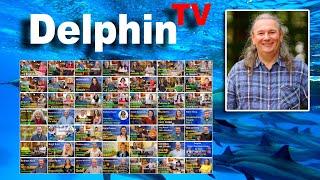 DelphinTV ... von und mit R.-Andreas Klein