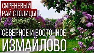 Районы Москвы: СЕВЕРНОЕ И ВОСТОЧНОЕ ИЗМАЙЛОВО