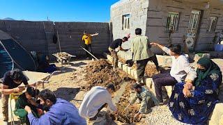 Building a Stone Platform for Flower Planting: Amir's Family Farm Adventure