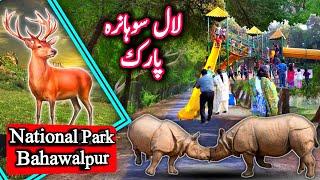 Lal Suhanra National Park Bahawalpur | Pakistan Wildlife | National Lal Suhanra Biosphere Reserve