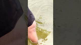 Vijayawada krishna river #sweet #funny #foodie #motivation #rider