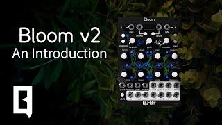 Introducing: Bloom v2