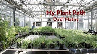 My Plant Path: Oadi Matny