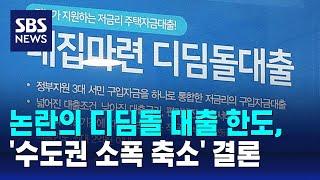 논란의 디딤돌 대출 한도, '수도권 소폭 축소' 결론 / SBS