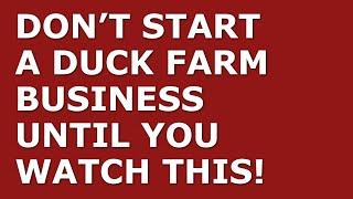 How to Start a Duck Farm Business | Free Duck Farm Business Plan Template Included