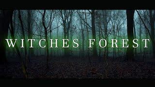 THE WITCHES FOREST | Full Movie