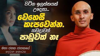 340. කැපවෙන්න... කවදාවත් පාඩුවක් වෙන් නෑ | මහා ජනක ජාතකය 2 | 2024-05-08