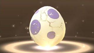 Six Purple Eggs Hatching - 02 Oct 2023