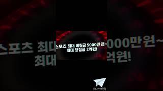 【안전사이트가 뽑은 TOP10 레이싱벳】 레이싱과 함께 즐거운 베팅과 빠른 당첨 속도를 느껴보세요 【토토사이트추천】