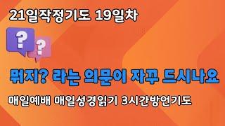 19일차]뭐지? 라는 의문이 자꾸 드시나요ㅣ매일예배 ㅣ매일성경읽기ㅣ3시간방언기도 ㅣ민30~32장