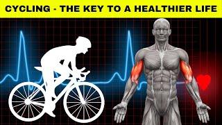 Cycling - The Key to a Healthier Life |Amazing Health Benefits Of Cycling For You