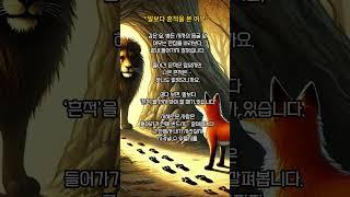 들어간 흔적은 많은데, 나온 흔적은 없다｜사자의 동굴 앞에 선 여우  #50대 #명언 #삶의지혜