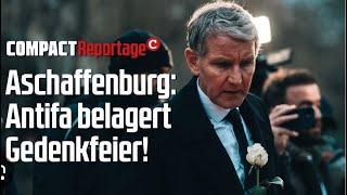 Diese Antifanten machen immer Probleme!