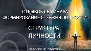 Фрагмент семинара "Стержень личности". Эффективность в социуме