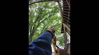 FIELD GOAL #tree #style #football #big #shot #show #entertainment #watch #trend #success #money #win