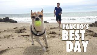 Pancho's Best Day - Nic and Pancho