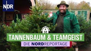 Hauptsaison Vorweihnachtszeit: Eine Familie und ihre x-mas-Bäume | Die Nordreportage