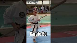 WKU Women’s Senior Black Belt Open Sport Martial Arts Karate Bo Form #karate #martialarts #worlds