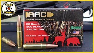 Hog Medicine!...AAC 300 Blackout Sierra Sports Master AMMO Ballistic Gel Test and Review!