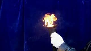 Газовый факел   регулируемое по высоте пламя