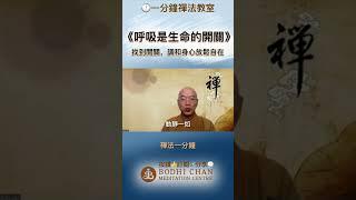 禪修找到生命的開關 #釋放壓力 #幫助身心健康 #禪法一分鐘 #學佛靜心開智慧