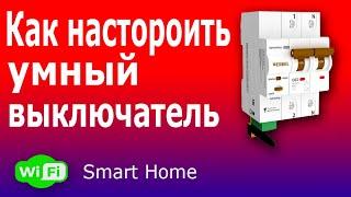 Настройка Умного Wi-Fi автомата с удаленным управлением для Умного Дома Werkel.