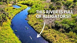 Spring kayaking on Florida's Myakka River - Lightweight Pakayak test!