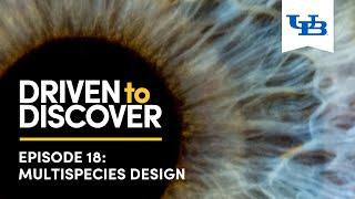 Driven to Discover Podcast: Multispecies Design | University at Buffalo