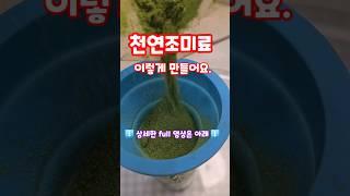 천연조미료 이렇게 만들어요. #shorts