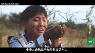 5分钟看完北大教授曹文轩的《草房子》，写出了所有人的童年哀怨