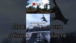 Волки имба #rust #rustgame #раст #растигра #игрынапк #держидверь #выживалка #анатоль
