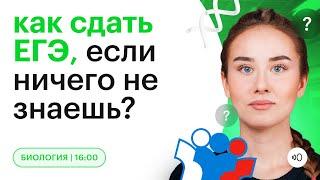 Как сдать ЕГЭ по БИОЛОГИИ, если ничего не знаешь? | Биология ЕГЭ 2023 | Быстрая подготовка | СОТКА