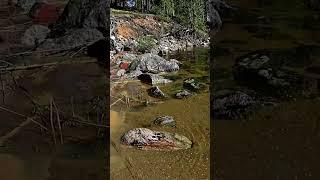 Если есть на свете рай то это Мурманский край  | Одиночный сплав каяке