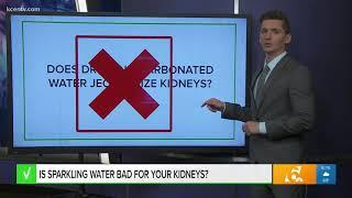 Can carbonated water jeopardize kidneys? | VERIFY