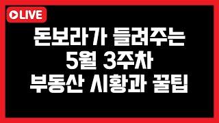 돈보라의 5월 3주차 부동산 시황과 꿀팁!