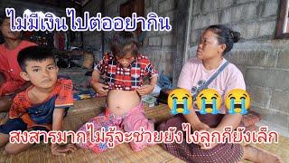 น้องบัวท้องโตอีกคนเห็นแล้วน่าสงสารจริงๆ.22 กันยายน ค.ศ. 2024