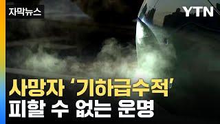 [자막뉴스] "사망자 기하급수적 증가"...매년 피할 수 없는 운명 / YTN