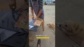 감사합니다 잘받았습니다 #남해 #몽실이 #뽀끄미 #티셔츠 #프린팅티셔츠