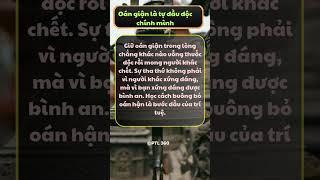 Những bài học từ Phật giáo giúp bạn giác ngộ và sống an lạc mỗi ngày. #LoiPhatDay #sốnganlạc