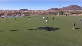 Laney Palmer Arizona showcase