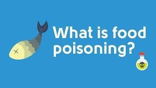 What is food poisoning? - Summer Awareness 2019