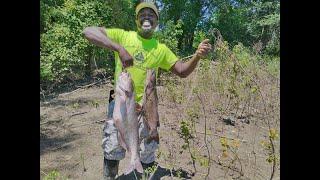 New Mississippi River Spot!!! Couple Nice Size Catfish!!